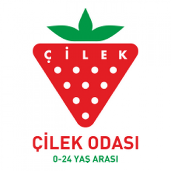 Çilek Mobilya